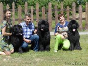 Превью фото № 128153