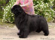 Превью фото № 128159