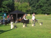 Превью фото № 128176