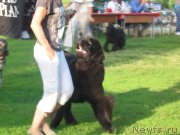 Превью фото № 128177