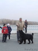 Превью фото № 128233