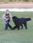 Превью фото № 128257