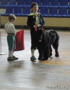 Превью фото № 128285