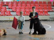 Превью фото № 128286