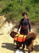 Превью фото № 128309