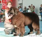 Превью фото № 12831