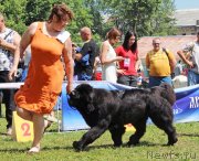 Превью фото № 128318