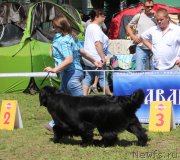 Превью фото № 128319