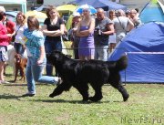 Превью фото № 128322