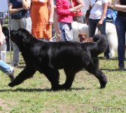 Превью фото № 128323