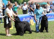 Превью фото № 128324