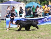 Превью фото № 128326