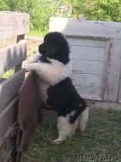 Превью фото № 128329