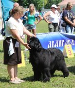 Превью фото № 128332