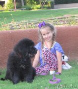 Превью фото № 128519