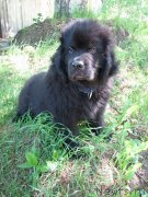 Превью фото № 128529