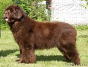 Превью фото № 128530