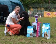 Превью фото № 128615