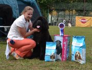 Превью фото № 128616