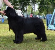 Превью фото № 128621