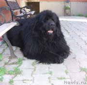 Превью фото № 128721