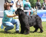 Превью фото № 128725
