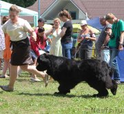 Превью фото № 128731