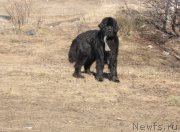 Превью фото № 128741