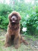 Превью фото № 128756