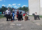 Превью фото № 128767