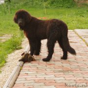 Превью фото № 128793