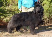 Превью фото № 128821