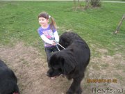 Превью фото № 128878