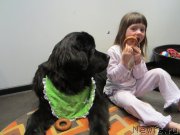 Превью фото № 128887