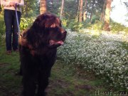 Превью фото № 128925