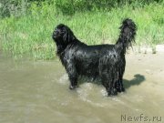 Превью фото № 128992