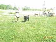 Превью фото № 128996