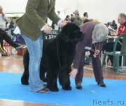 Превью фото № 129026