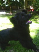 Превью фото № 129209