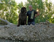 Превью фото № 129232