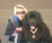 Превью фото № 129247