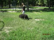 Превью фото № 129314