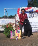 Превью фото № 129322