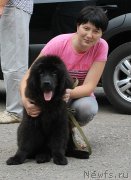 Превью фото № 129363