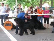 Превью фото № 129434