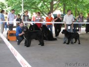 Превью фото № 129435