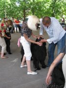 Превью фото № 129436