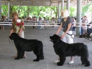 Превью фото № 129440