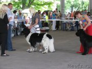 Превью фото № 129457