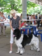 Превью фото № 129458